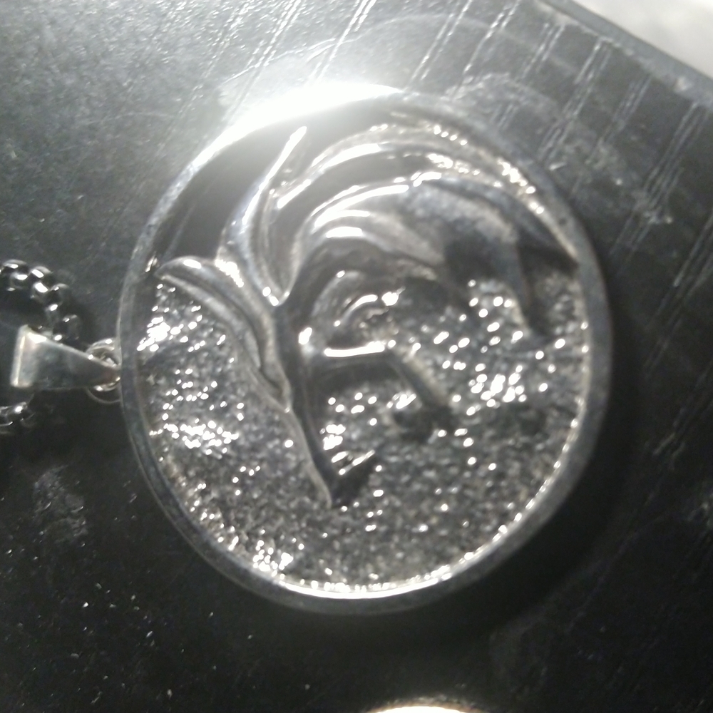 The Witcher Necklace View 2
